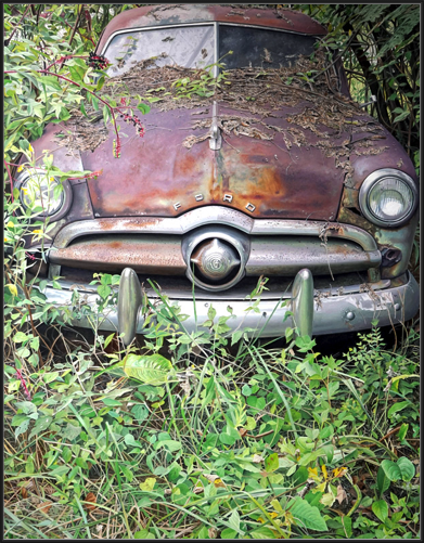 F.O.R.D (2015)
71 x 91 cm
oil on canvas