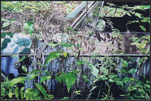 Impala (2025)
91 x 61 cm
oil on linen